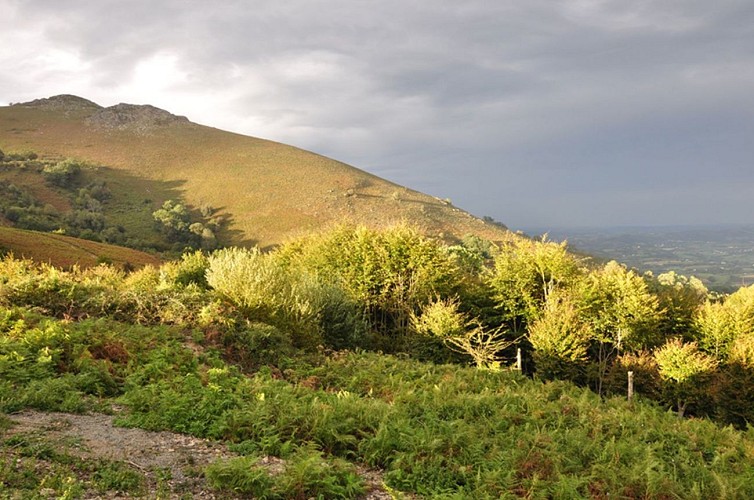 sare_lizarrieta_Paysage_du_col