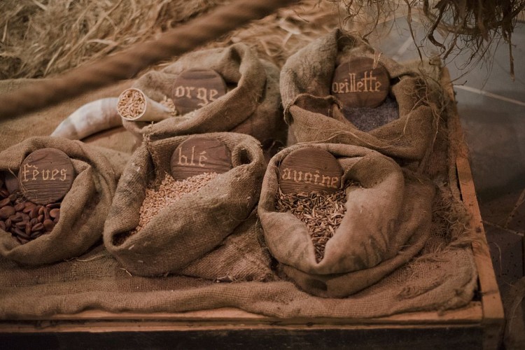 Musée du Moyen Âge d'Entremont