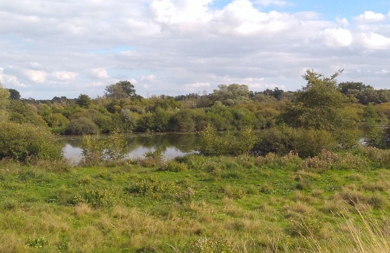 Marais de Tirancourt