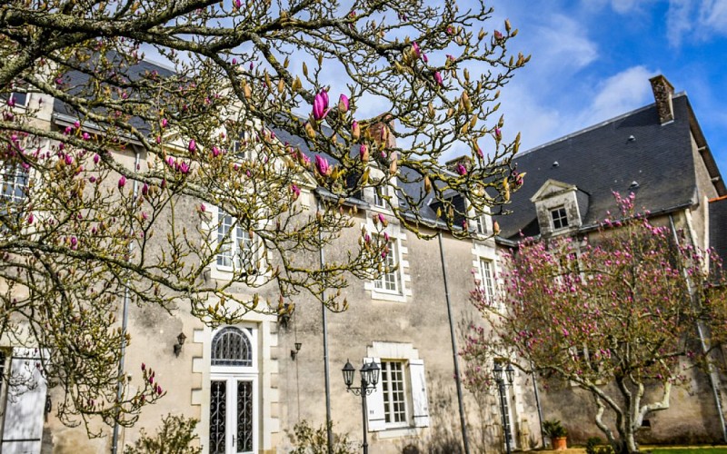 CHAMBRES D'HÔTES CHÂTEAU DE LA GRAND COUR