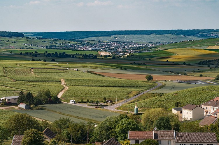 Bouteille de champagne géante de Cramant