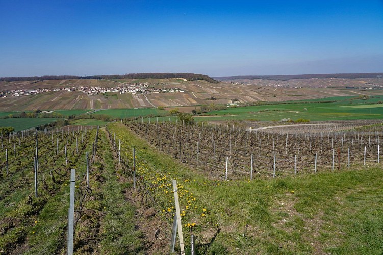 Falaises classées des Roualles