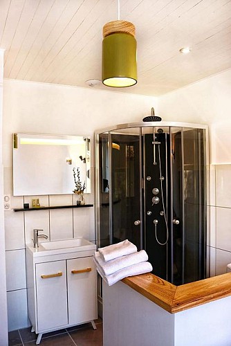 Villereal-Hotel-de-l-Europe-chambre-double-standart---douche