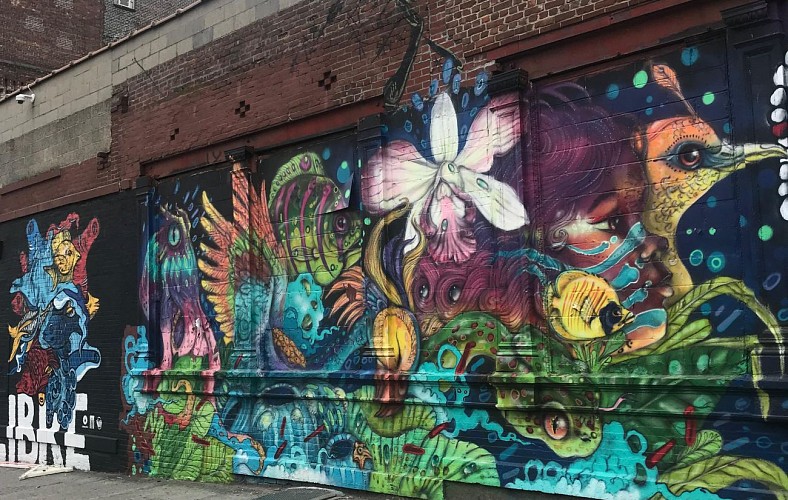 Visite guidée et atelier Street Art à Bushwick (Brooklyn) - Tour privé en français