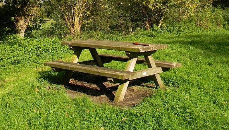 table-2287400-960-720-5