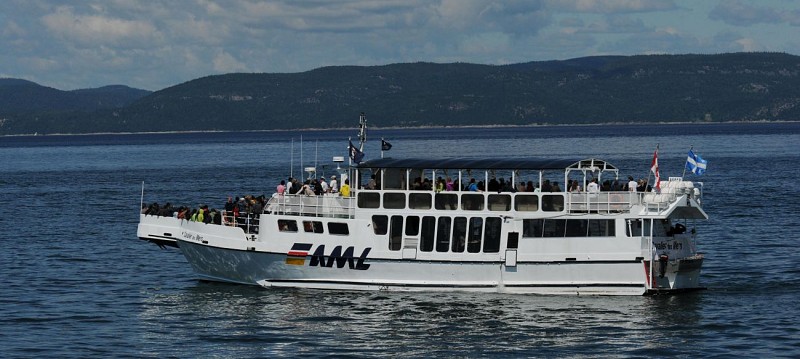 Whale observation cruise in the fjords - in Tadoussac & Baie-Sainte-Catherine
