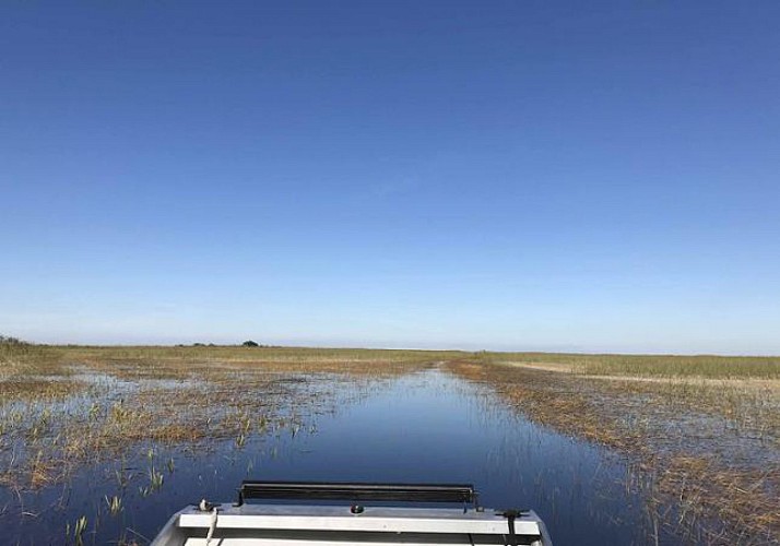 Visite guidée des Everglades en hydroglisseur - au départ de Miami – En français