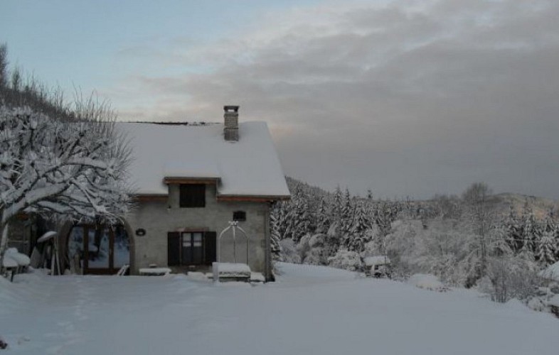 GITE DE LA CHEVESTRAYE_6