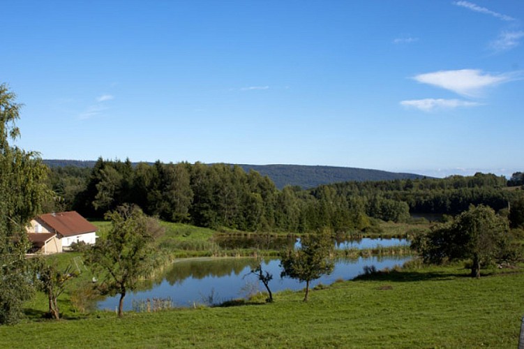 LA FERME DES GUIDONS_1