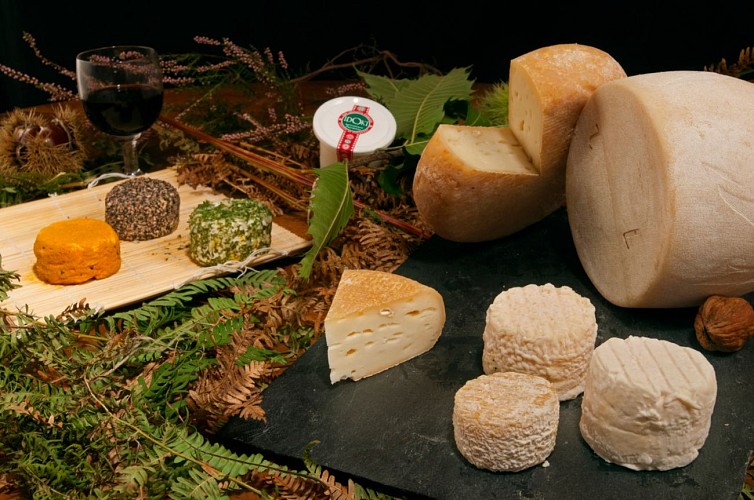 fromage chevre idoki