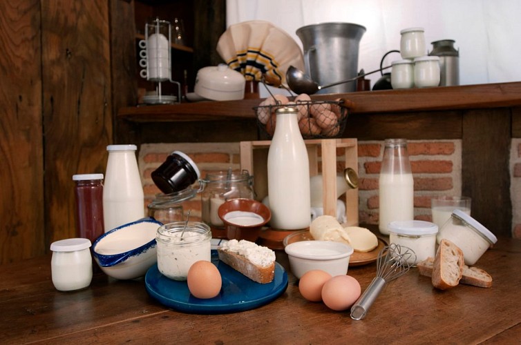 Produits laitiers Idoki