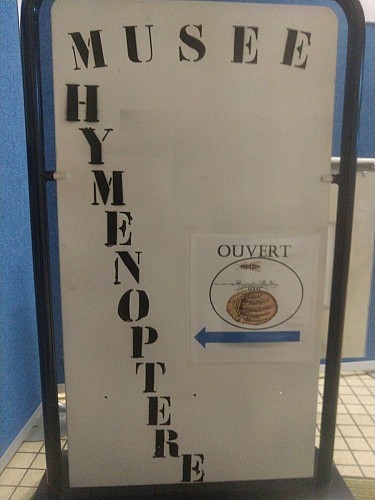 MUSÉE DE L'HYMÉNOPTÈRE