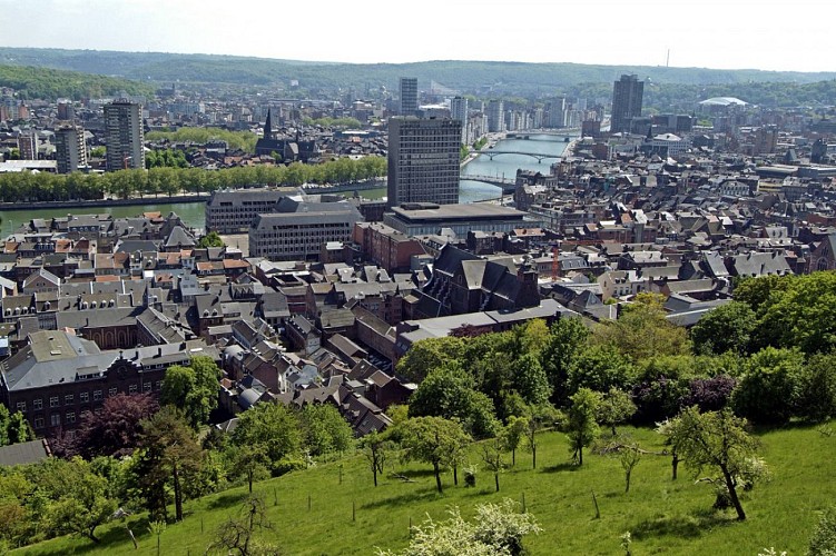 Point de vue de la Citadelle de Liège