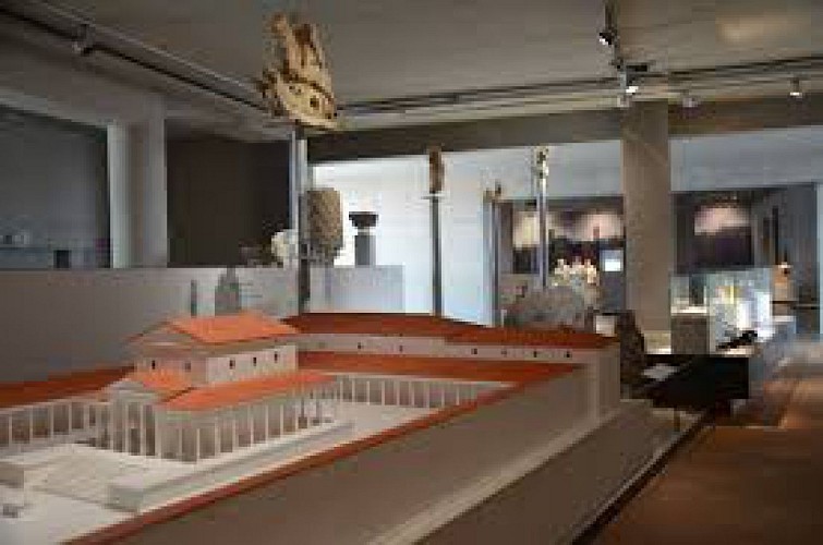 Musée Gallo-Romain de Tongres