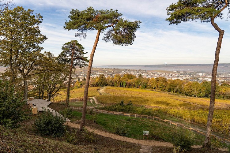 Jardin de vignes : Le Mont Bernon et le belvédère Pierre-Cheval à Epernay