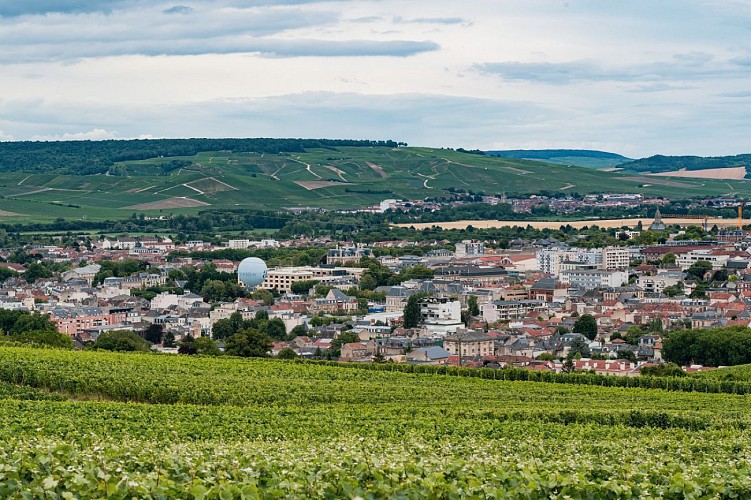 Jardin de vignes : Le Mont Bernon et le belvédère Pierre-Cheval à Epernay