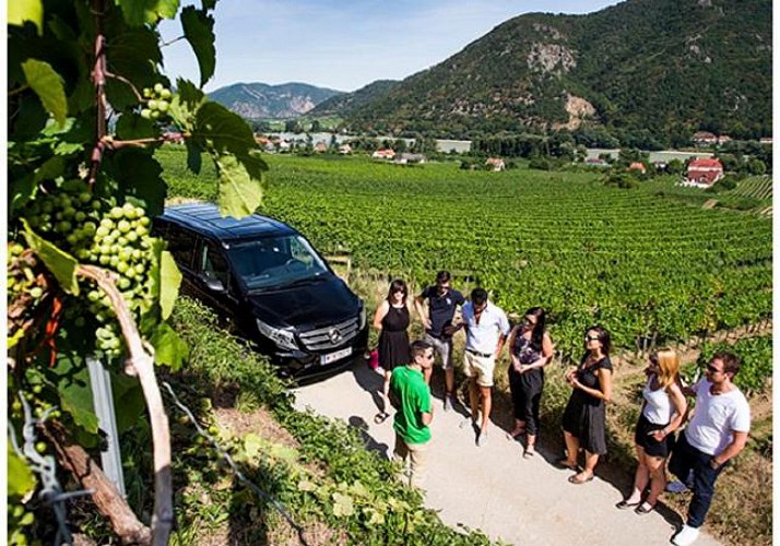 Visit and wine tasting in the Wachau Valley - leaving from Vienna