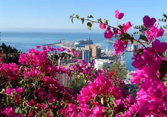 Guided Visit to Malaga with Skip-the-line Ticket to the Picasso Museum - Optional Tapas and Lunch