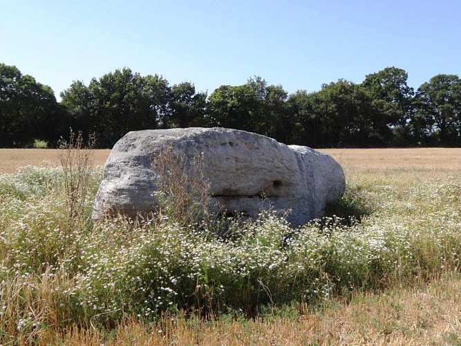 Le site mégalithique du Rocher
