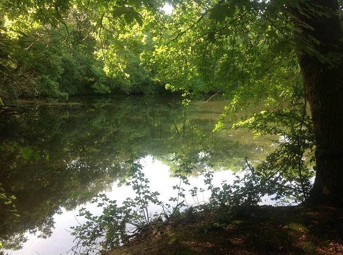 Un ponton pour tout découvrir en toute sécurité