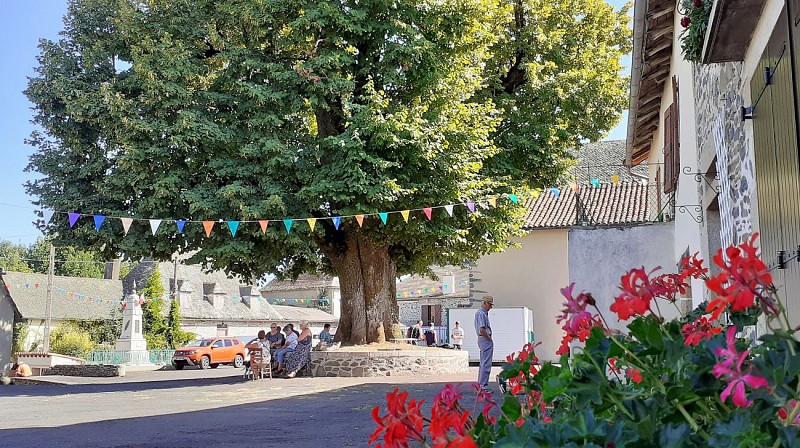 De Sully-linde - Opmerkelijke Auvergne boom