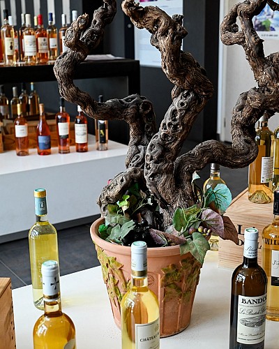 Oenothèque de Bandol