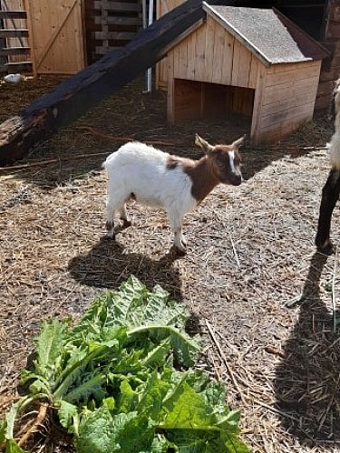 185931926_1625230081012452_7335959818113307660_n