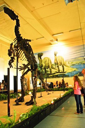 Musée de l'Iguanodon.