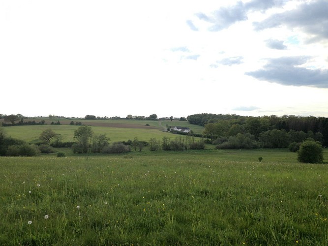 Panorama au milieu des champs