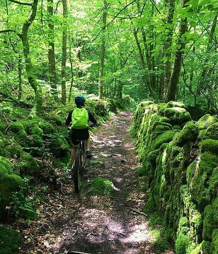 Espace VTT-FFC Monts de Blond (2)