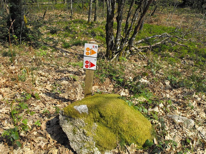 Espace VTT-FFC des Monts du Limousin