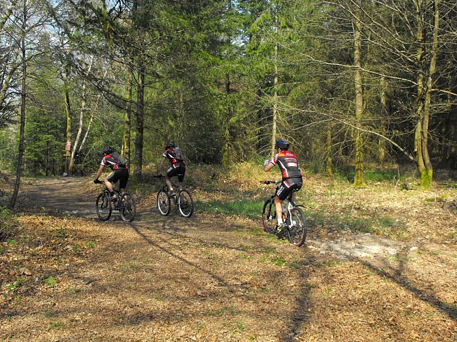 Espace VTT-FFC des Monts du Limousin
