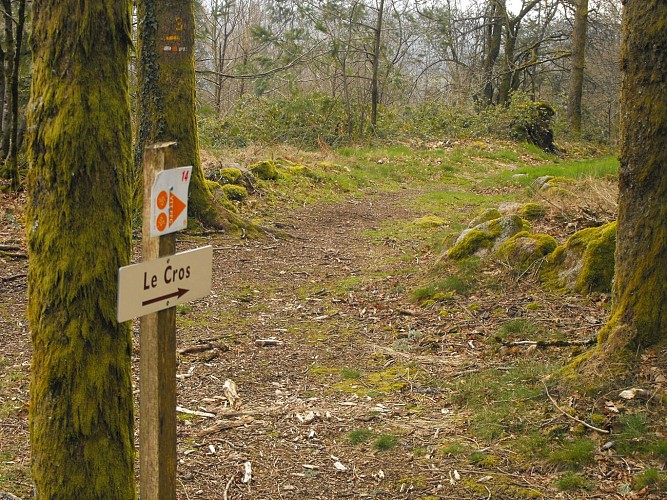 Base VTT des Monts d'Ambazac_5