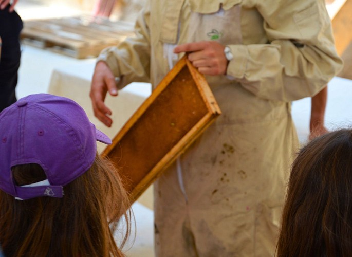miellerie-dandelion-chloé-pellerin-dournazac
