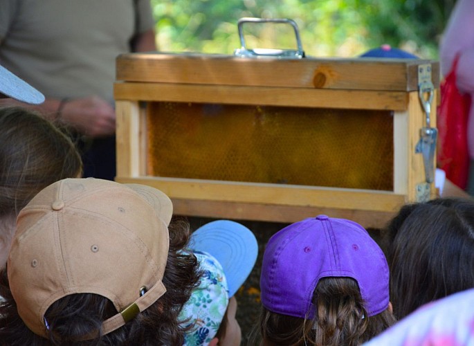 miellerie-dandelion-chloé-pellerin-dournazac