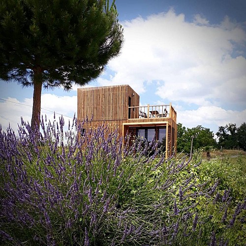 36474010-2045830102400822-6992960859655897088-n-2