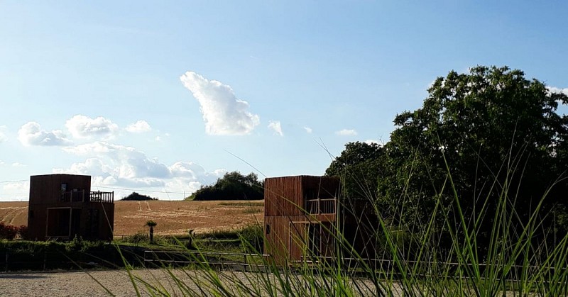 36344908-2045830632400769-8333511210339139584-n-2