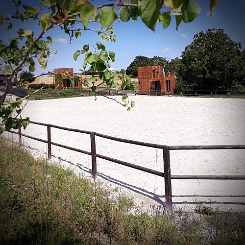 36405907-2045830255734140-3437816880281157632-n-2