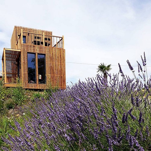 36385988-2045830832400749-7659142246117146624-n-2