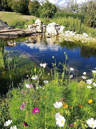 piscine cheron