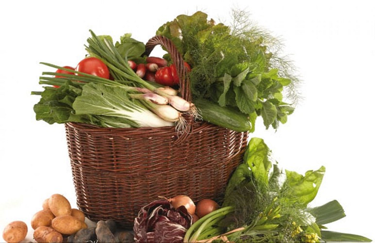 Les Paniers Verts - Wakatta sprl