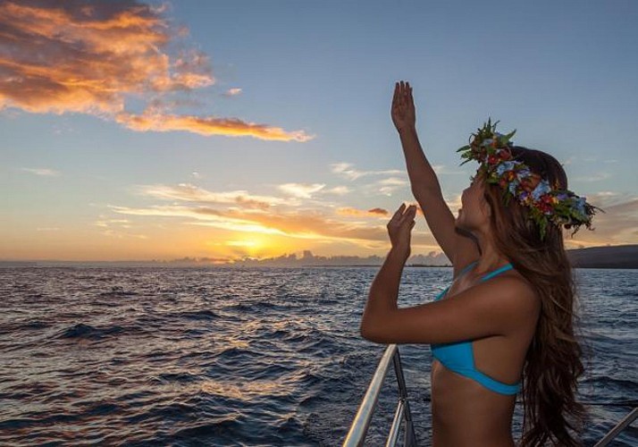 Croisière en catamaran sur les côtes Na’Pali au coucher du soleil – Dîner inclus – Kauai