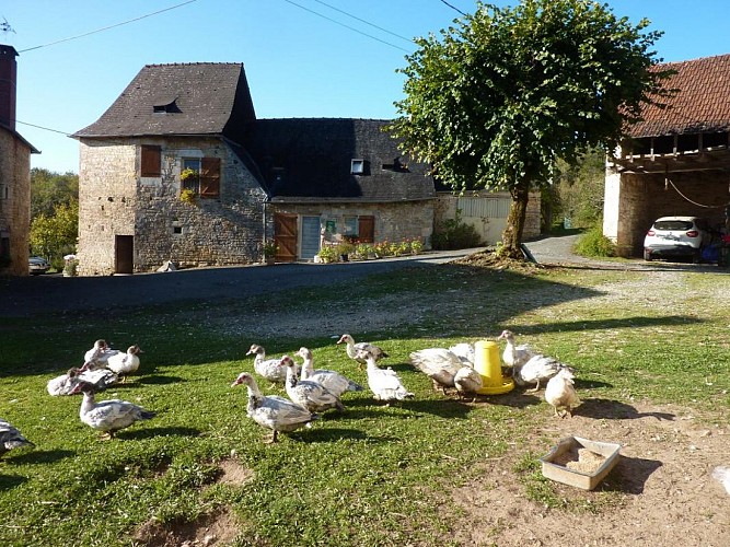 Gîte La Bouzonie
