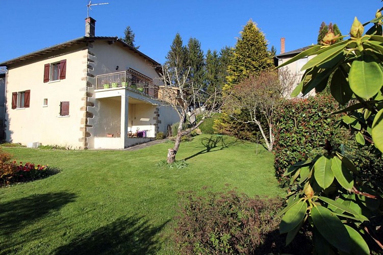 Libellules et papillons