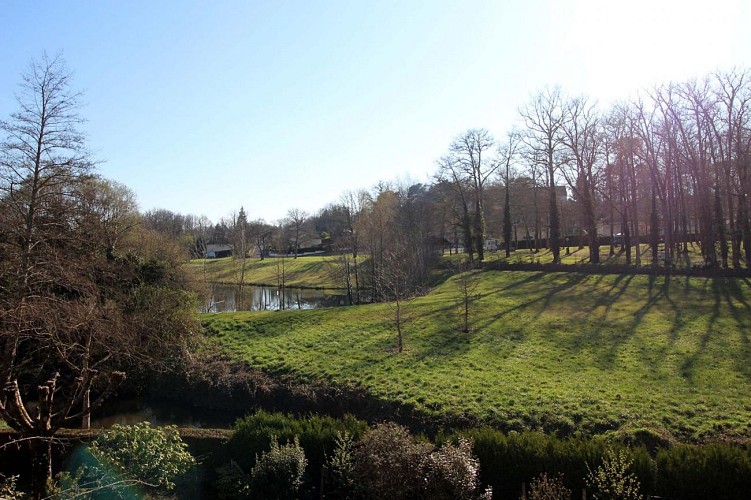 Libellules et papillons