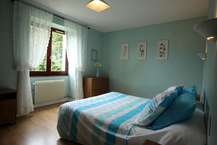 Libellules et papillons