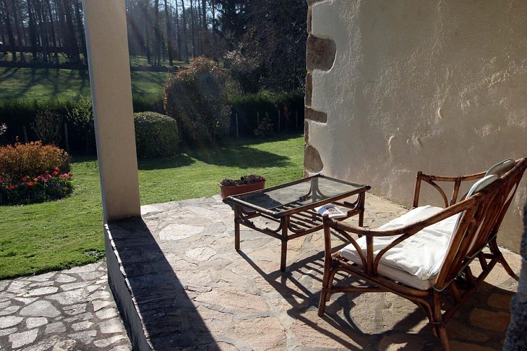 Libellules et papillons