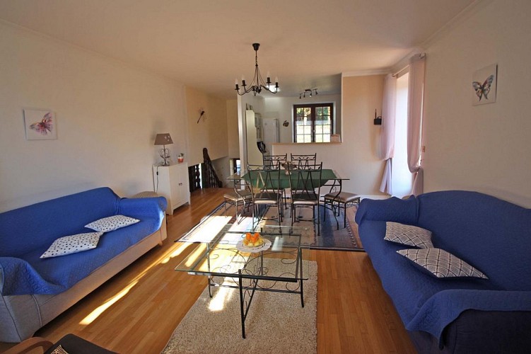 Libellules et papillons