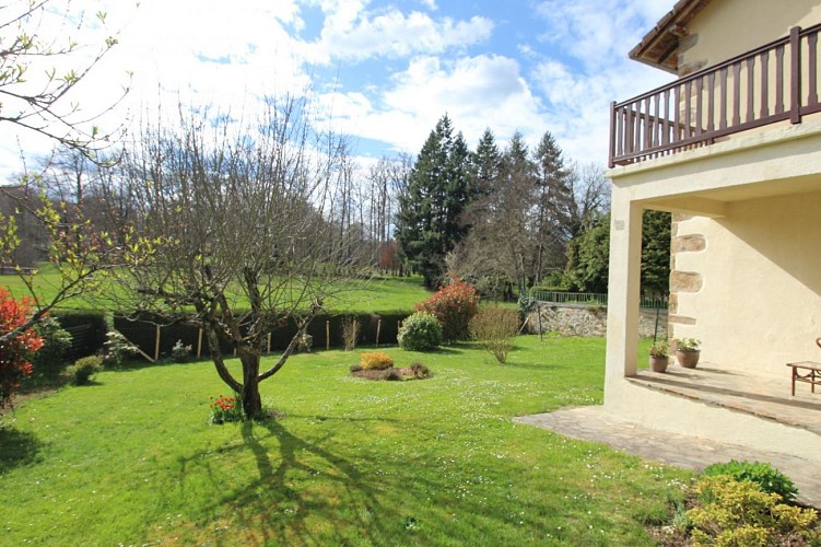 Libellules et papillons