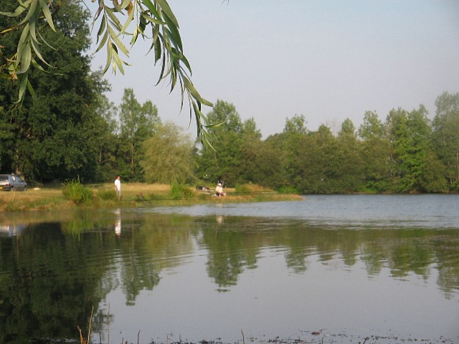 L'étang des Brosses